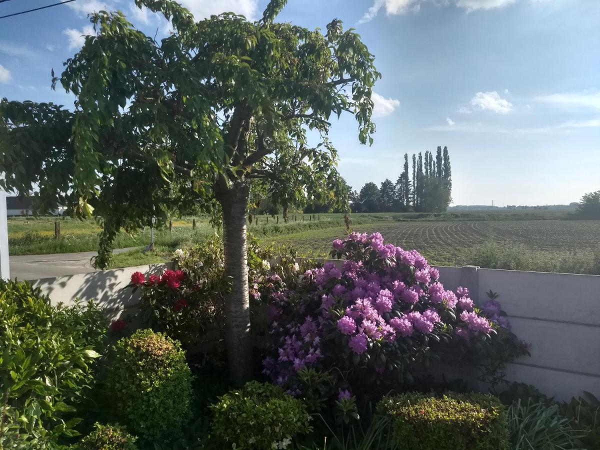 Dhofstede Vakantiewoning Oudenaarde Exteriér fotografie